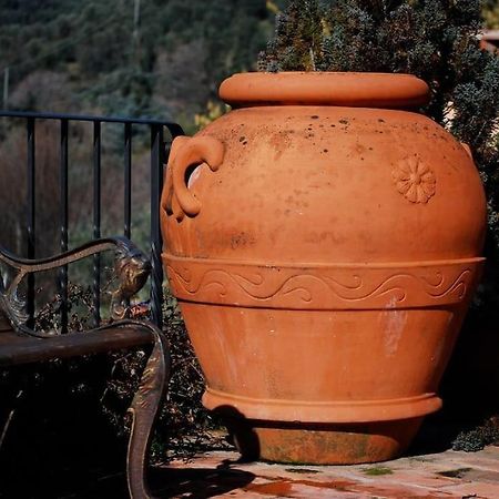 Conca Di Sopra Home Corsanico-Bargecchia Bagian luar foto