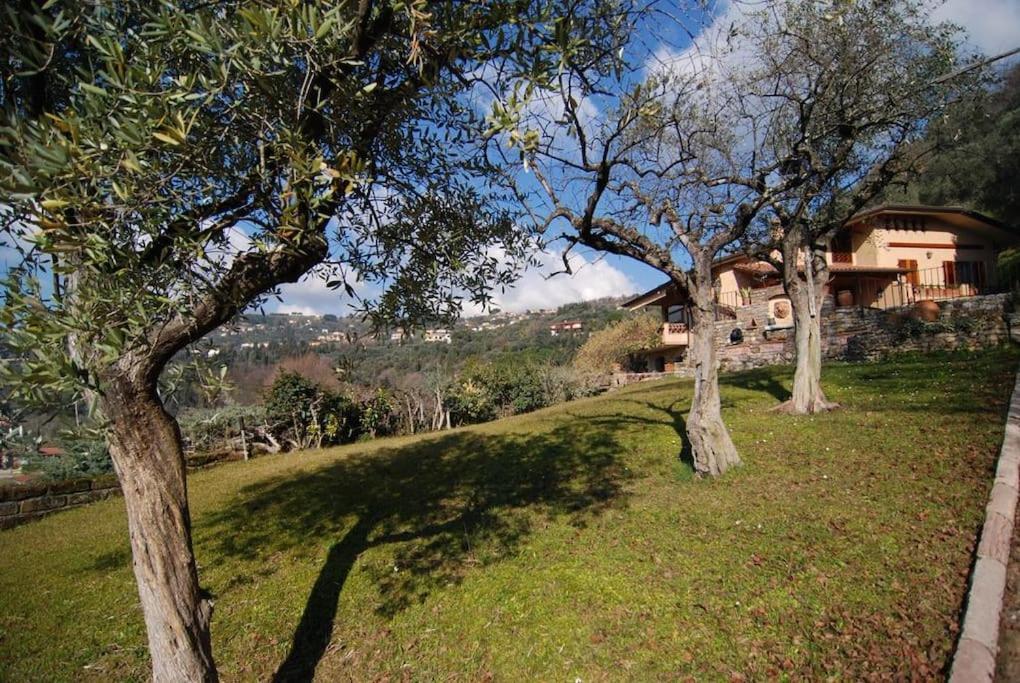 Conca Di Sopra Home Corsanico-Bargecchia Bagian luar foto