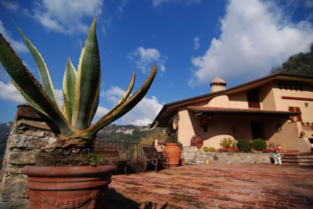 Conca Di Sopra Home Corsanico-Bargecchia Bagian luar foto