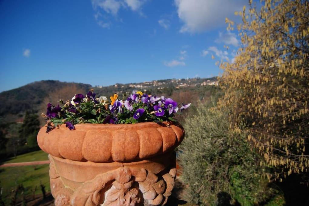 Conca Di Sopra Home Corsanico-Bargecchia Bagian luar foto