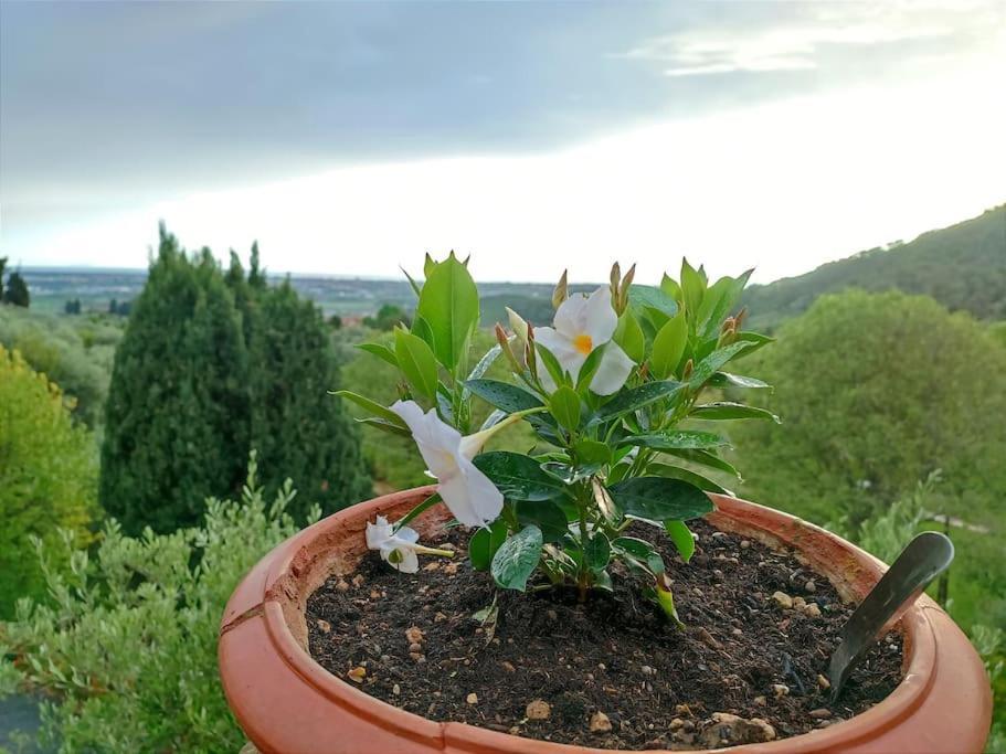 Conca Di Sopra Home Corsanico-Bargecchia Bagian luar foto