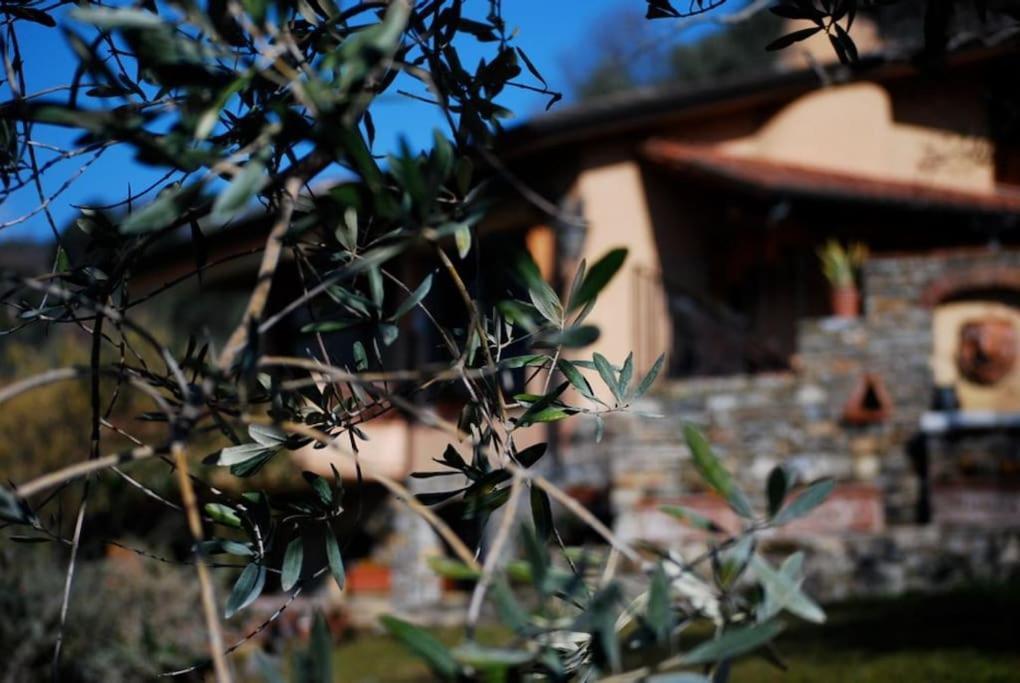 Conca Di Sopra Home Corsanico-Bargecchia Bagian luar foto